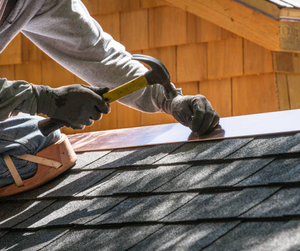 Best Roof Gutter Cleaning  in East Liverpool, OH